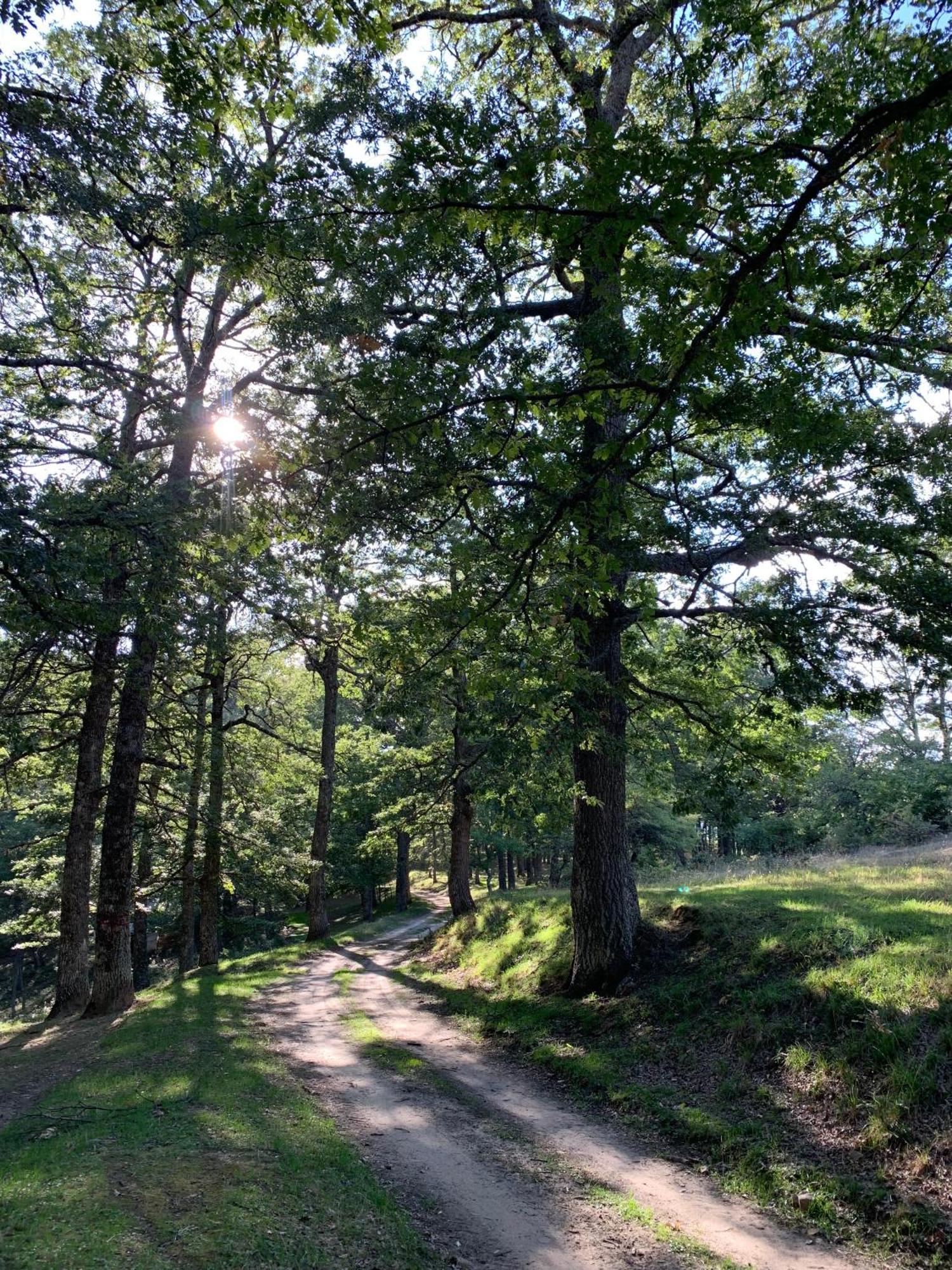 Aura - Glamping Experience Hotel Accettura Kültér fotó